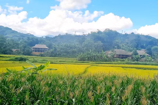 7 giải pháp, 6 nhiệm vụ chính giúp Lào Cai giảm nghèo đa chiều, bao trùm và bền vững.