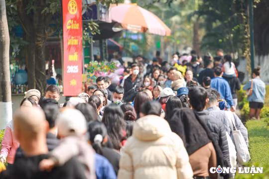 Hà Nội: Hàng nghìn người đổ về Công viên Thủ Lệ ngày nghỉ Tết Dương lịch