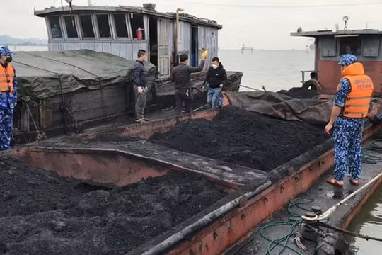 Xử lý nghiêm các tổ chức, cá nhân tiếp tay, bao che cho hoạt động sản xuất, kinh doanh than trái phép