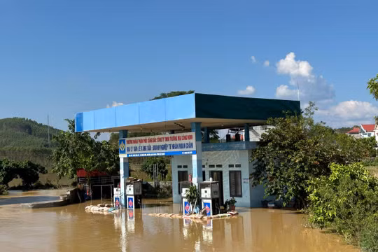 Giải quyết nhanh, dứt điểm việc chi trả bảo hiểm cho người dân và doanh nghiệp bị thiệt hại do lũ lụt