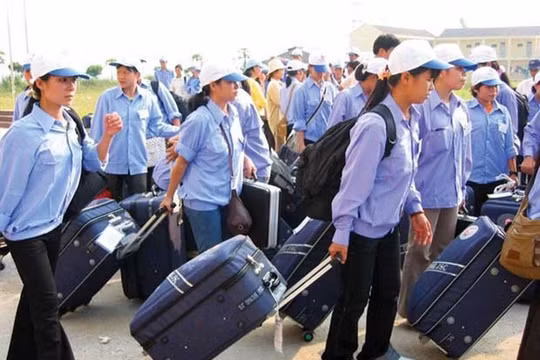 Phát triển giáo dục nghề nghiệp – Nền tảng cho sinh kế bền vững vùng nghèo