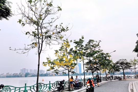Hà Nội sẽ mở rộng đường ven Hồ Tây