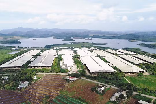 Ngành Nông nghiệp và Môi trường Nghệ An 2025: Nỗ lực bứt phá, vững vàng vượt kế hoạch