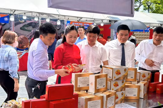 40 gian hàng tham gia Hội chợ Hải Phòng