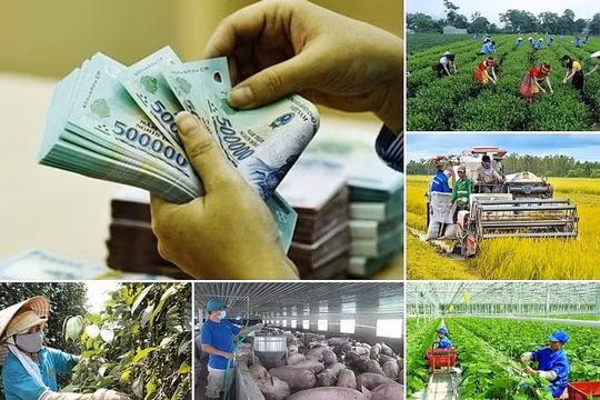 Không làm gián đoạn các chương trình mục tiêu quốc gia khi thực hiện chính quyền địa phương 2 cấp