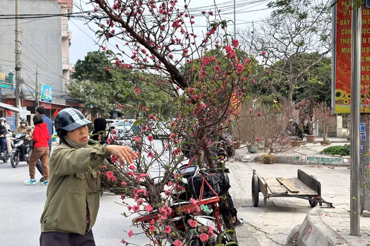 Ngày 29 Tết, giá mặt hàng nào tăng mạnh nhất?