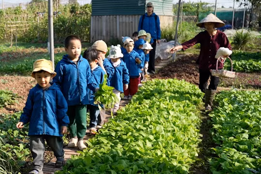 Lan tỏa giá trị nông nghiệp – hành trình mới của nông dân Việt Hưng