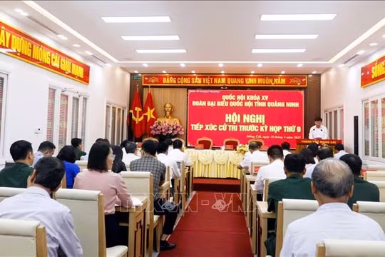 Cử tri đề nghị xử lý nghiêm việc sản xuất, buôn bán hàng giả