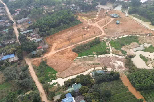 Hà Nội chỉ đạo khẩn trương kiểm tra, làm rõ vi phạm đất đai tại xã Thạch Hòa, huyện Thạch Thất