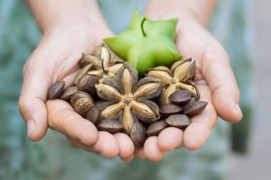 Omega 3-6-9 – Lá chắn tự nhiên cho người mỡ máu cao và tim mạch