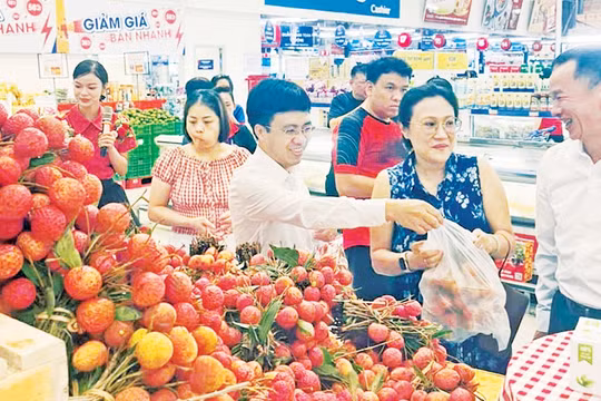 Bắc Giang tiêu thụ xong hơn 70.000 tấn vải sớm