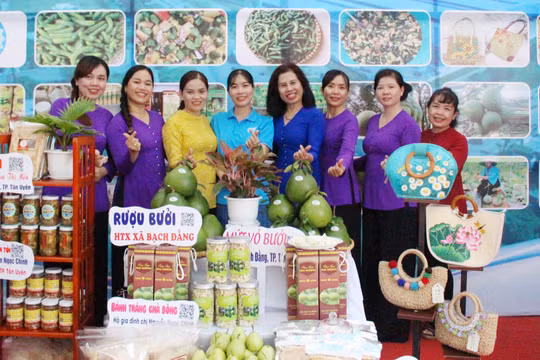 Phấn đấu đến năm 2030, 30% giám đốc/chủ doanh nghiệp, hợp tác xã là nữ