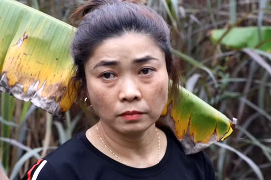 Quảng Ninh: Triệt phá đường dây vận chuyển, mua bán trái phép ma túy liên tỉnh, số lượng lớn