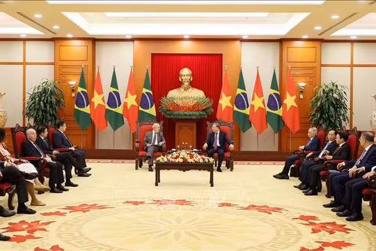 Phát huy tiềm năng hợp tác song phương giữa Việt Nam - Brazil