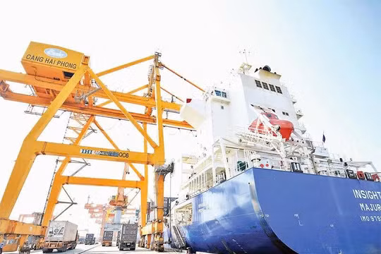 3 kịch bản tác động từ thuế đối ứng của Mỹ đến xuất khẩu nông, lâm, thủy sản Việt Nam