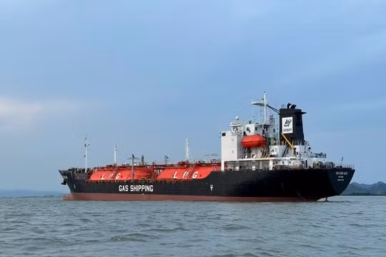 GAS Shipping (GSP) chuẩn bị trả cổ tức năm 2024 bằng cổ phiếu, nâng vốn điều lệ lên hơn 675 tỷ đồng