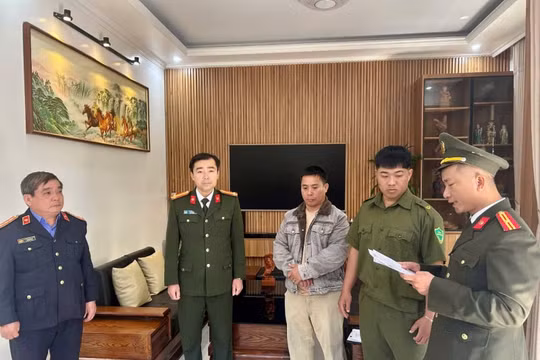 Khởi tố đối tượng mua, bán giấy phép lái xe giả