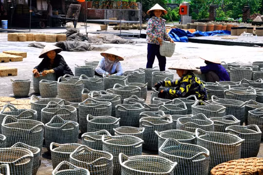 Ninh Bình: Tín dụng ưu đãi tạo động lực giảm nghèo bền vững