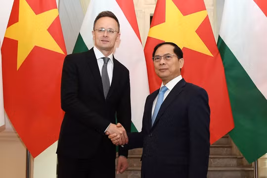Khuyến khích doanh nghiệp Hungary đẩy mạnh đầu tư vào Việt Nam