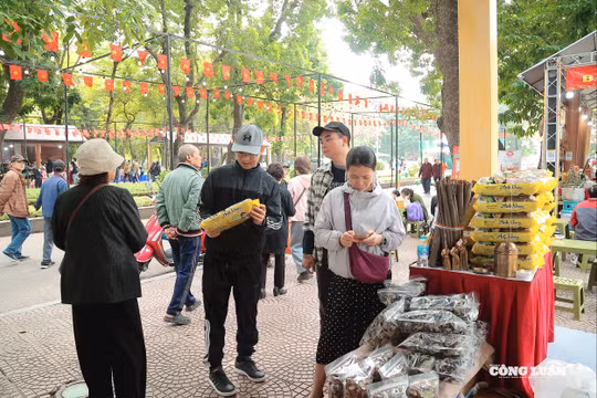 Festival Thu Hà Nội 2025 thu hút đông đảo người dân và khách tham quan