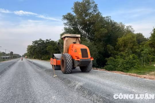 Phấn đấu khởi công dự án nâng cấp Quốc lộ 62 vào đầu năm 2026