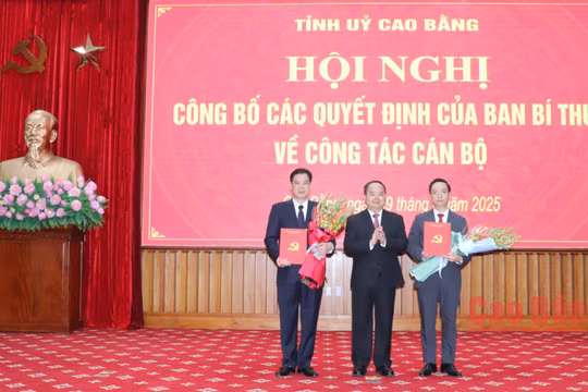 Tỉnh ủy Cao Bằng công bố các quyết định của Ban Bí thư về công tác cán bộ