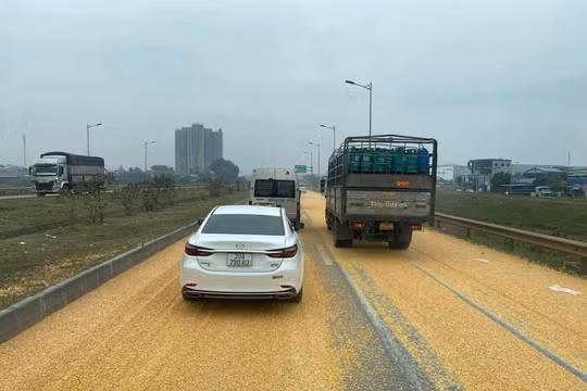 Làm rơi 3 tấn ngô trên cao tốc, lái xe bị xử phạt