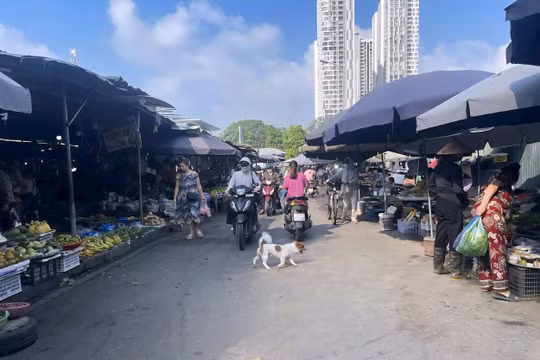 Hà Nội triển khai công tác quản lý chợ, xử lý "chợ cóc", điểm kinh doanh tự phát