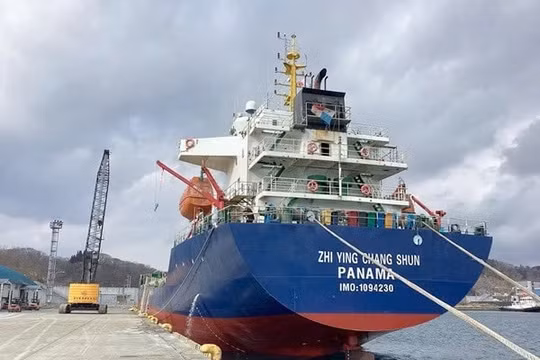 Gia Lai: Bắt giữ tàu biển Zhi Ying Chang Shun tại cảng Quy Nhơn
