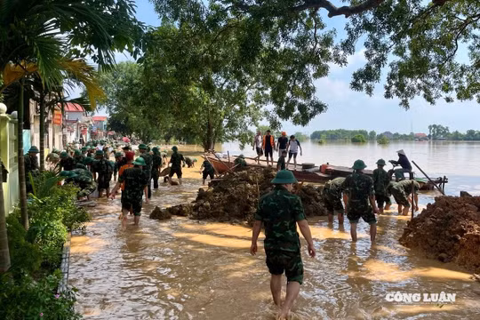 Quân dân đồng lòng đắp đê ngăn nước sông Cầu