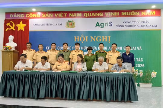 Gia Lai: Kiên quyết xử lý nghiêm tình trạng xe chở hàng quá khổ, quá tải