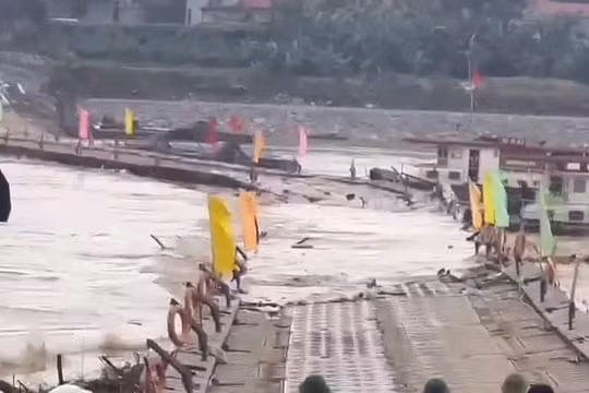 Khẩn cấp cắt cầu phao Phong Châu do dòng chảy mạnh