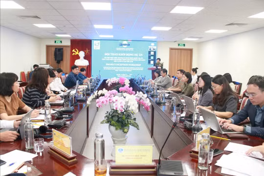 Việt Nam đặt mục tiêu cải thiện hơn 13.000 ha sinh cảnh biển nhờ dự án chống rác nhựa