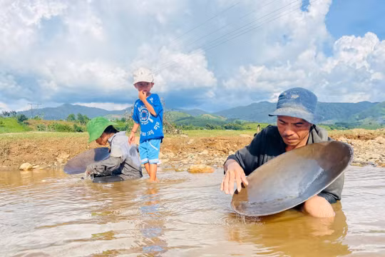 Quảng Ngãi: Người dân đánh cược mạng sống, đổ xô ra sông Pô Kô đãi cát, tìm vàng