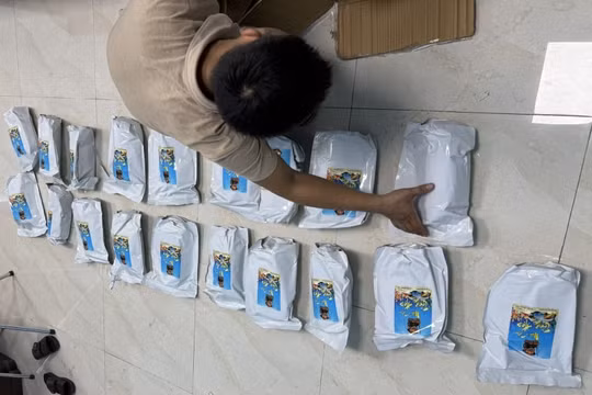 Triệt phá ổ nhóm buôn bán ma túy, thu hơn 100 kg 'cỏ Mỹ'