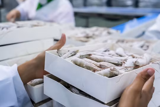 Đột phá công nghệ chế biến, bảo quản: Đòn bẩy giúp nông sản Việt "tăng tốc" đến chuỗi giá trị bền vững