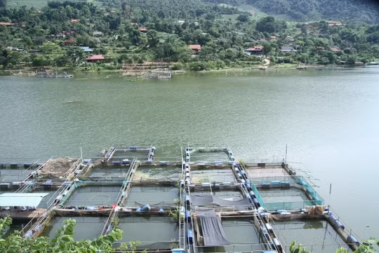 Sơn La: Chủ động ứng phó với diễn biến bất thường mực nước hồ Hòa Bình
