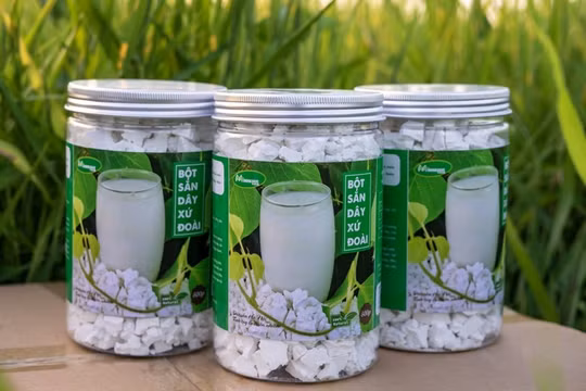 Hành trình xây dựng thương hiệu OCOP 4 sao ‘Bột sắn dây xứ Đoài’