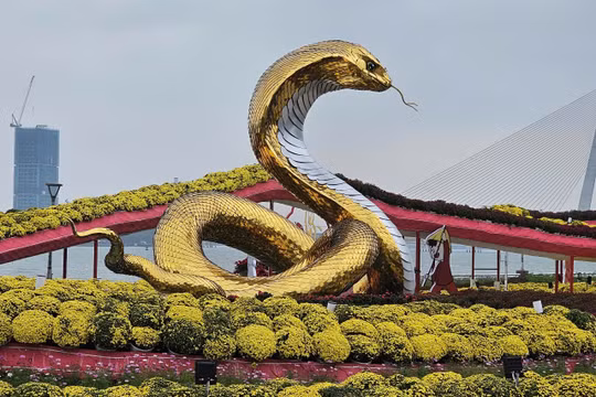 Chiêm ngưỡng linh vật Rắn trên đường hoa xuân Đà Nẵng 2025
