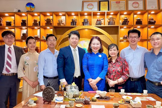 Từ hương trà đến bàn cờ Thủy Tinh Châu: Sinh viên Việt – Đài kết nối tri thức, vun đắp tình hữu nghị
