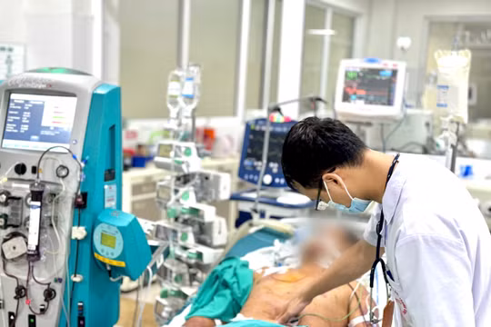 Nam thanh niên nguy kịch vì nghi nhiễm liên cầu lợn do ăn tiết canh