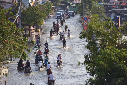 Dự báo thời tiết ngày 24/10: TP HCM có mưa rào kết hợp triều cường