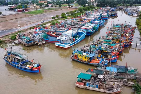 Ninh Bình yêu cầu sơ tán dân, dừng toàn bộ đò trước 18h ngày 24/9 để phòng chống bão Ragasa