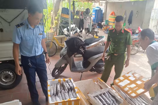 Thanh Hóa: Phát hiện cơ sở kinh doanh hơn 1 tấn thực phẩm bốc mùi