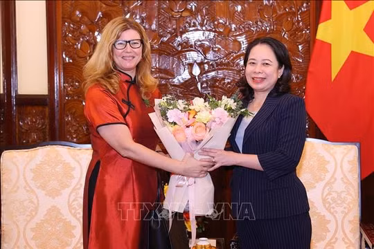 Phó Chủ tịch nước Võ Thị Ánh Xuân tiếp Trưởng đại diện UNICEF tại Việt Nam