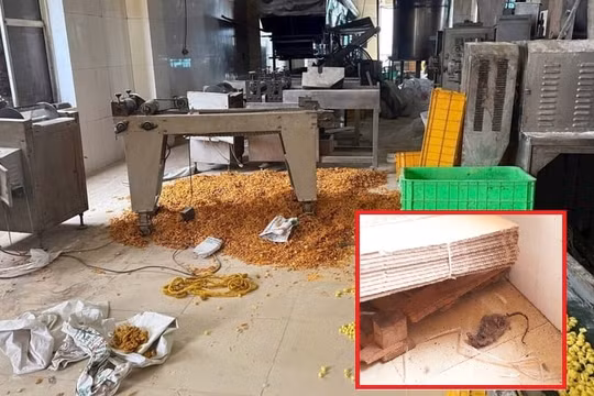 Rùng mình xưởng bim bim tại Hà Nội, xác chuột chết bốc mùi trong khu sản xuất