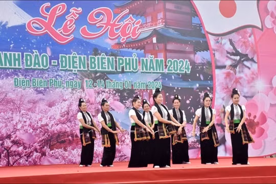Lễ hội hoa anh đào Điện Biên Phủ 2025 có nhiều hoạt động hấp dẫn