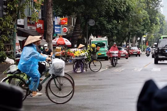 Dự báo thời tiết ngày 20/5: Tây Nguyên, Nam Bộ có mưa rào vài nơi