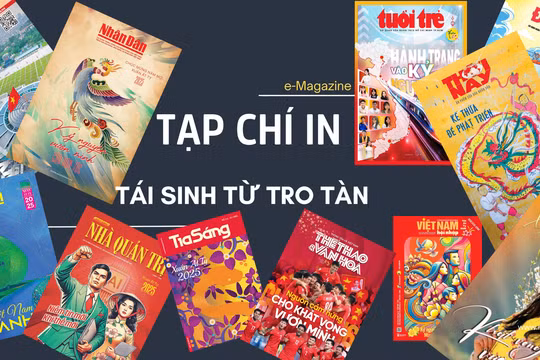 Tái sinh từ tro tàn
