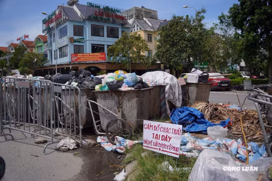Rác thải ngổn ngang, tràn ra lòng đường gây ô nhiễm ở Hà Đông